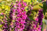 Angebot im BBM Baumarkt Parchim Prospekt BBM Baumarkt Parchim Prospekt mit im Angebot für 6,99 €