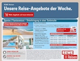Spanien / Fuerteventura - Unterbringung in einer Juniorsuite Angebote bei REWE Ludwigshafen für 777,00 €