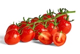 Penny Speyer - Roma Rispentomaten Angebot im Prospekt Roma Rispentomaten bei Penny im Speyer Prospekt für 1,99 €