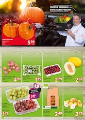 Bio Kartoffeln Angebote im Prospekt "HIER KAUFEN PROFIS & GENIESSER" von Selgros Bio Kartoffeln Angebote im Prospekt "HIER KAUFEN PROFIS & GENIESSER" von Selgros auf Seite 3