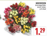 MOOSROSEN bei Marktkauf im Lemgo Prospekt für 1,29 €