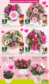 Aktueller Pflanzen Kölle Prospekt mit Blumen, "Doppelte Liebe, doppeltes Fest!", Seite 3