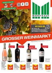 Lebensmittel im Marktkauf Prospekt in Bruchsal Aktueller Marktkauf Prospekt mit Lebensmittel, "Aktuelle Angebote", Seite 1