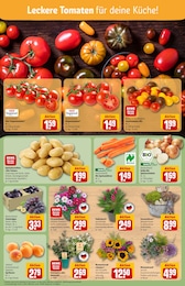 REWE Schnittblumen im Prospekt REWE Schnittblumen im Prospekt