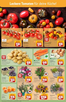 Geschenkartikel Angebot im aktuellen REWE Prospekt auf Seite 7