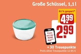 Aktuelles Große Schüssel Angebot bei REWE in Nürnberg ab 2,99 €