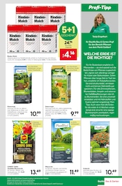 Blumenerde im BayWa Bau- und Gartenmärkte Prospekt in Würzburg Aktueller BayWa Bau- und Gartenmärkte Prospekt mit Blumenerde, "Hier bin ich gern", Seite 19