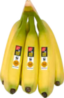 Bananen von Gut & Günstig im aktuellen Marktkauf Prospekt für 1,19 €