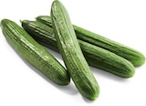 Netto Marken-Discount Hilden - Gurken Angebot im Prospekt Gurken bei Netto Marken-Discount im Hilden Prospekt für 0,59 €