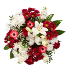 Strauß Besonderheit Angebot in Großbrembach Strauß Besonderheit im aktuellen Prospekt bei Lidl in Großbrembach