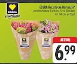 Herzstücke Hortensie Angebote von EDEKA bei EDEKA Fürth für 6,99 €