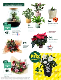 Offre Noël dans le catalogue Truffaut du moment à la page 9