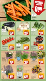 Aktueller REWE Prospekt mit Blumen, "Dein Markt", Seite 7
