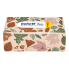 Aktuelles Taschen-tücherbox XXL Angebot bei ALDI Nord in Bremen ab 1,69 €