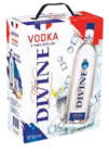 Vodka, Bag-in-Box im Angebot bei Netto Marken-Discount in Göttingen Vodka, Bag-in-Box Angebote von Pure Divine bei Netto Marken-Discount Göttingen für 29,99 €