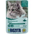 Zookauf Bad Camberg Prospekt mit  im Angebot für 0,99 €