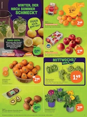 Aktueller tegut Prospekt mit Pflanzen, "tegut… gute Lebensmittel", Seite 5