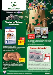 Offre Croquet dans le catalogue Maxi Zoo du moment à la page 1