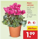Angebot im Netto Marken-Discount Ölbronn-Dürrn Prospekt Netto Marken-Discount Ölbronn-Dürrn Prospekt mit im Angebot für 1,99 €