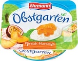 Netto Marken-Discount - Obstgarten Angebot im Prospekt Obstgarten bei Netto Marken-Discount im Prospekt "" für 0,49 €
