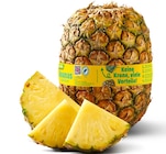 Penny - Ananas Angebot im Prospekt Ananas bei Penny im Prospekt "" für 1,49 €