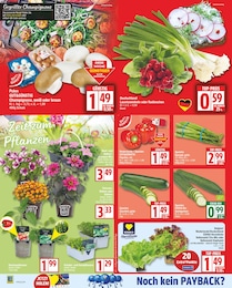 Mixer Angebot im aktuellen EDEKA Prospekt auf Seite 2