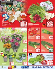 EDEKA Prospekt der Woche "Aktuelle Angebote" Seite 2, 12.05.2025 bis 17.05.2025 für Berlin Aktueller EDEKA Prospekt "Aktuelle Angebote" Seite 2 von 18 Seiten für Berlin