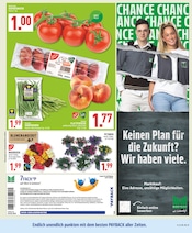 Bohnen im Marktkauf Prospekt in Wuppertal Aktueller Marktkauf Prospekt mit Bohnen, "Aktuelle Angebote", Seite 3