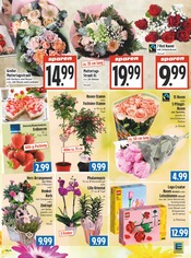 Erdbeeren im EDEKA Prospekt in Gießen Aktueller EDEKA Prospekt mit Erdbeeren, "Aktuelle Angebote", Seite 9