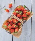 Promo Fraise Gariguette à 2,79 € dans le catalogue Intermarché Contact à Castelnau-Magnoac