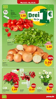 Zimmerpflanzen im Penny Prospekt "Wer günstig will, muss Penny." mit 42 Seiten (Mannheim)