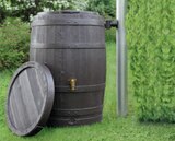 Regenfass „Vino“ 250 l im Angebot bei toom Baumarkt in Buxtehude Regenfass „Vino“ 250 l Angebote bei toom Baumarkt Buxtehude für 14,99 €