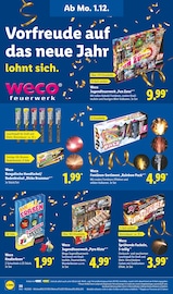 Aktueller Lidl Prospekt mit Silvesterfeuerwerk, "LIDL LOHNT SICH", Seite 42