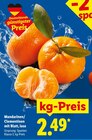 Mandarinen/Clementinen mit Blatt, lose im aktuellen Lidl Prospekt