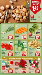 Garten Angebot & Preis im aktuellen REWE Prospekt Garten Angebot im aktuellen REWE Prospekt auf Seite 9