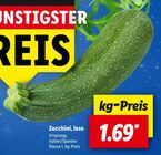 Zucchini, lose Angebote bei Lidl Freiburg für 1,69 €