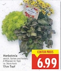 Herbstmix für 6,99 € bei E center im Angebot Herbstmix im aktuellen E center Prospekt