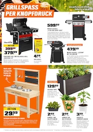 OBI Grill im Prospekt 