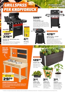 Pflanzen im OBI Prospekt "FÜRS MACHEN GEMACHT." mit 21 Seiten (Chemnitz)