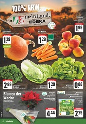 Aktueller EDEKA Prospekt mit Kürbis, "Aktuelle Angebote", Seite 4