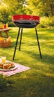 Rundgrill im aktuellen Netto mit dem Scottie Prospekt