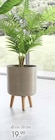 Blumentopf aus Kunststoff im Angebot bei Zurbrüggen in Recklinghausen Blumentopf aus Kunststoff Angebote bei Zurbrüggen Recklinghausen für 19,99 €