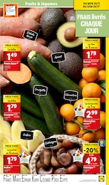 Offre Endive dans le catalogue Lidl du moment à la page 5