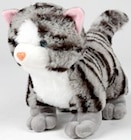Plüschtier Katze Angebote bei Thomas Philipps Erfurt für 4,99 €