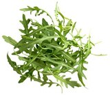 Aktuelles Bio-Rucola Angebot bei Kaufland in Leverkusen ab 0,99 €