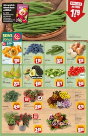 Ähnliche Tränendes Herz Angebote im Prospekt "Dein Markt" von REWE Ähnliches Angebot bei REWE in Prospekt "Dein Markt" gefunden auf Seite 9