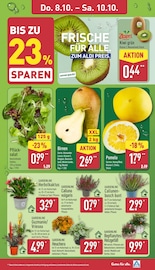 Ähnliche Teichfolie Angebote im Prospekt "Aktuelle Angebote" von ALDI Nord in Magdeburg Ähnliche Angebote wie Teichfolie im Prospekt "Aktuelle Angebote" auf Seite 33 von ALDI Nord in Magdeburg