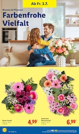 Blumen im Lidl Prospekt in Lemgo Aktueller Lidl Prospekt mit Blumen, "LIDL LOHNT SICH", Seite 34