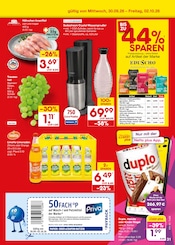 Kaffeepads im Netto Marken-Discount Prospekt in Sindelfingen Aktueller Netto Marken-Discount Prospekt mit Kaffeepads, "Aktuelle Angebote", Seite 49