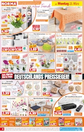 Dekokissen Angebote im Prospekt "Mehr fürs Geld" von Norma Dekokissen Angebote im Prospekt "Mehr fürs Geld" von Norma auf Seite 4